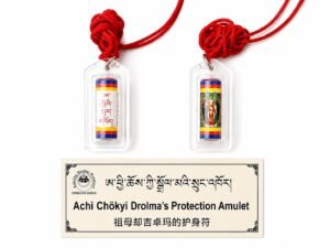 Achi Chokyi Drolma's protection