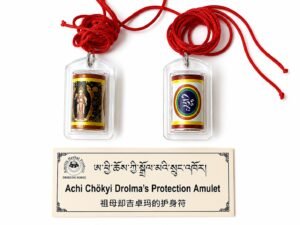 Achi Chokyi Drolma's protection